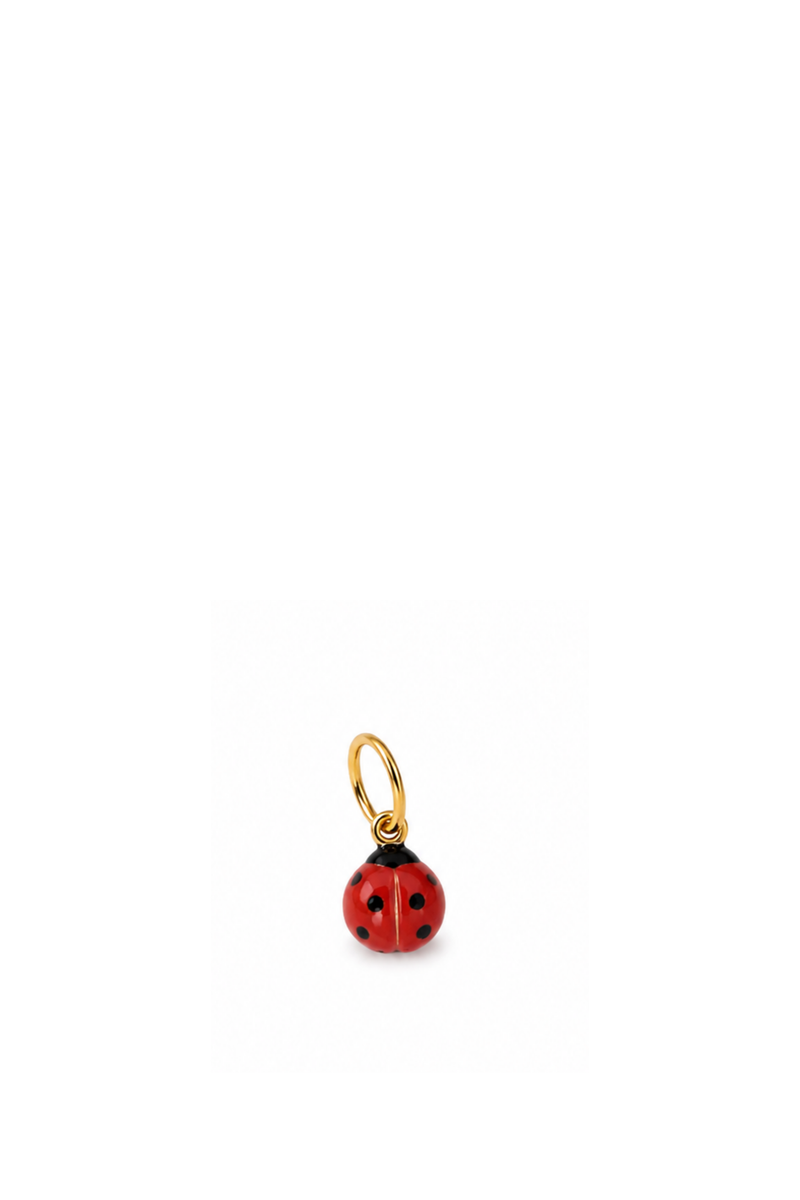 Ciondolo Coccinella di corallo rosso e Oro Giallo