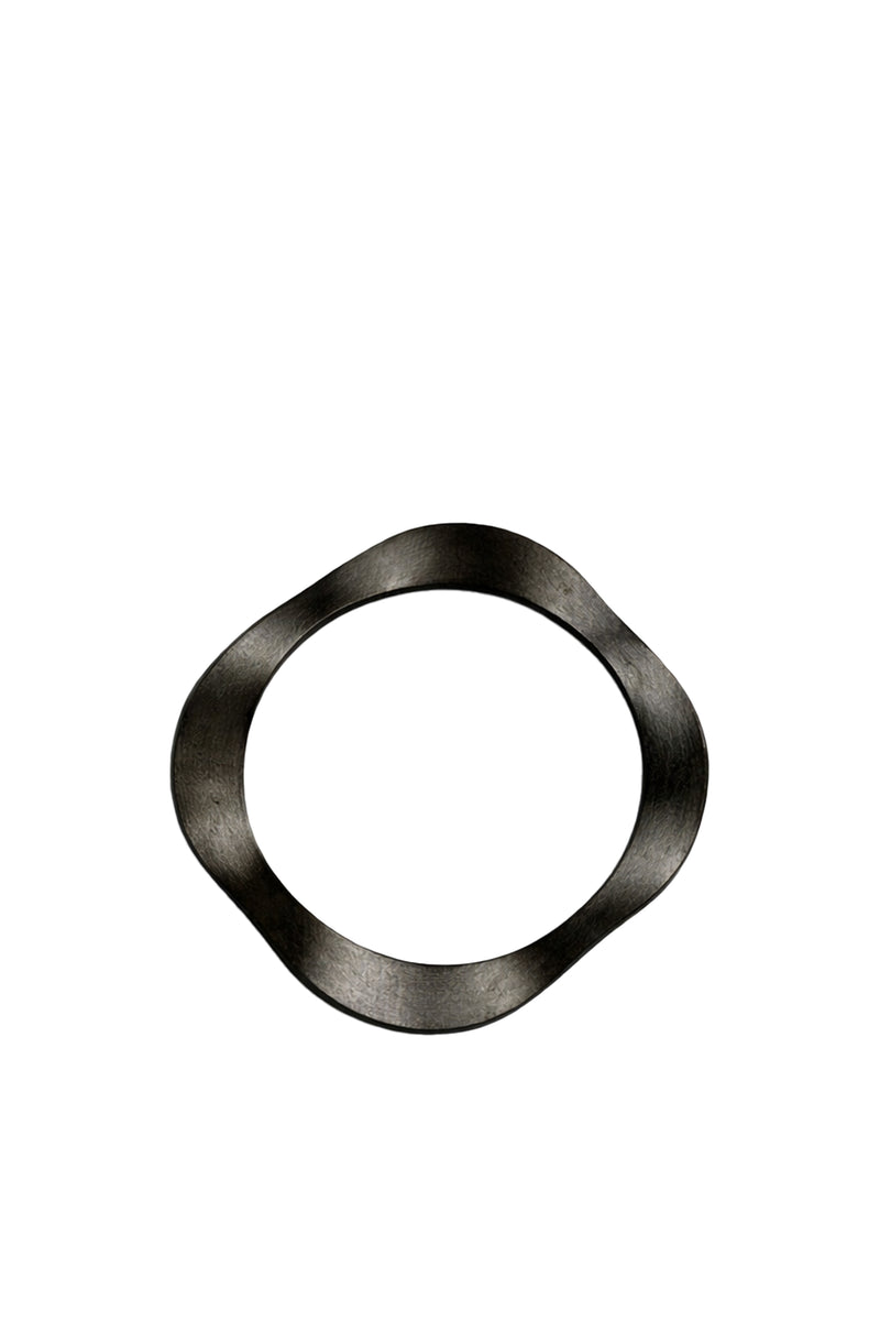 Titanium Wave Ring